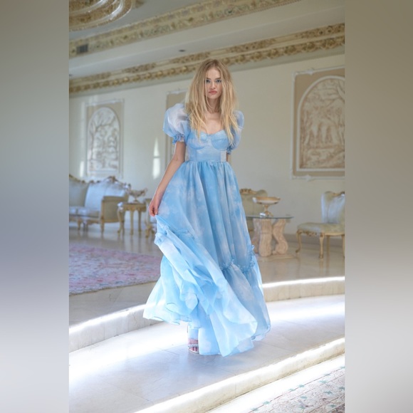 Selkie Head in the Clouds Ritz Gown - Picture 1 of 7